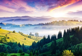 �������, �����, ����, �������, �������