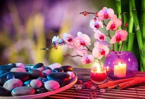 цветы, орхидеи, камни, свечи