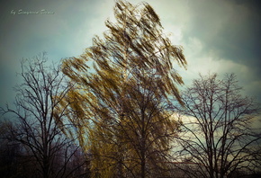 �������, �����, ������