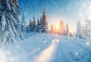 ����, ����, ��������, ���, �������