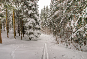 ����, ���, �������, ���, ����, �����