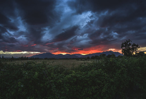 ����, ������, �������, �����, ������