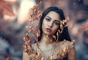 �������, ������, �����