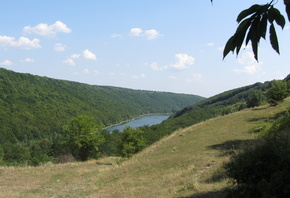 ����, �������, ����