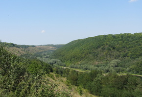 ����, �������, ����