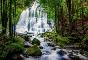 �������, ���, �������, �����, ���, �������, �����