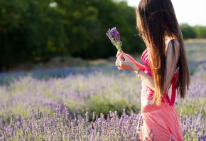 обои настроения, девушка, брюнетка, поле, цветы, фиолетовый, руки, природа, деревья настроения, девушка, брюнетка, поле, цветы, фиолетовый, руки, природа, деревья