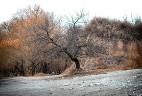 ������, �������, �������