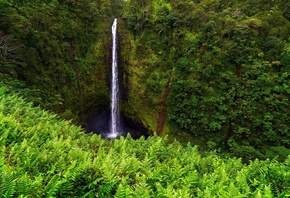 �������, �������, �������, ������, �����, ����, �������