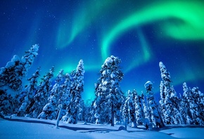 природа, Зима, снег, ночь, небо, северное сияние