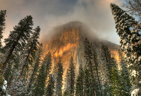 , , , yosemite national park, , , , 