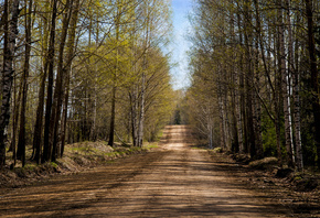 �����, ������, ���