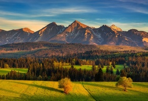 ����, ����, �����, ���, �����, �����, ����, pawel uchorczak