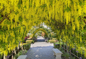 Сад в Лэнгли, штат Вашингтон, деревья, цветы, арки