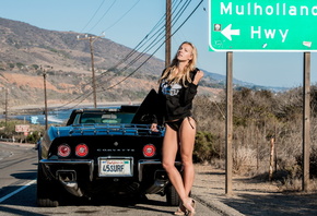 �������, ������, ������, ����