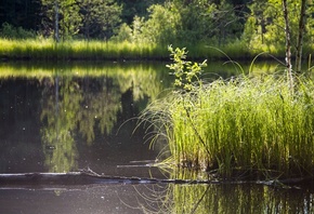 ������ �����, ������, �����, �����, ����