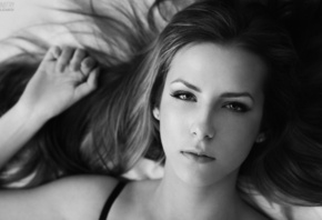 dmitry elizarov, �������, ������, �����