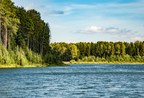 ����, ����, ����