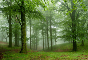 �������, ���, �������, �����, ������