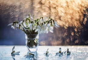 натюрморт, боке, цветы, подснежники, брызги воды, by Синкальський Тарас