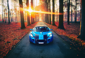 lotus, �������, ������, �����