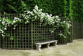 Nature, park, garden, flowers, bench, , , , , 