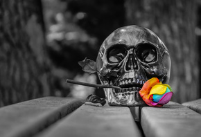 �����, ����, ��, ����