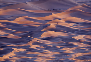 ���, ����, ����������, ������ ������, �������, ����, ��������, ����������