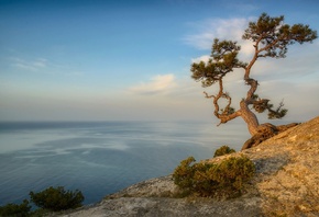 холм, одинокое дерево, море, даль, рассвет, by Сергей Брагин