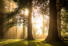 �������, �������, ����, ����, ����