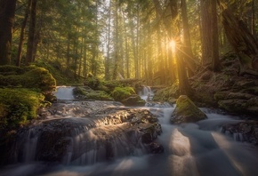 �������, ���, �����, �������, ����, ������