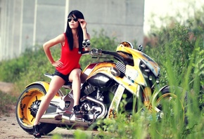 Harley-Davidson, мотоцикл, Japanese, model, bike