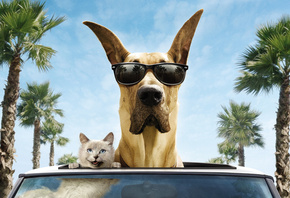 ������, �����, ������, ����, ������, �������, ������