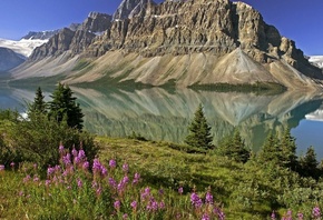 bow lake, banff national park, alberta, canada,  , , 