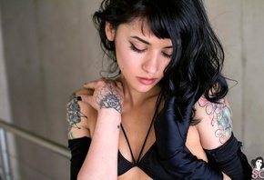 suicide girls, , , ,  ,  ,  ,  , , 