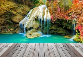 waterfalls, water, flower, tree