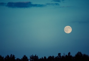 moon, clouds, tree, cky