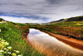 flower, river, grass, fields