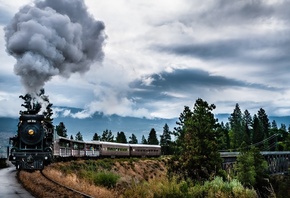 train, trees, , 