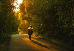 мотоцикл, природа, закат, Honda, cbr, 1000 rr