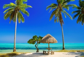 tropical, beach, tree, ocean, palm, sand