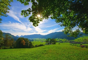 summer, valley, tree, sunlights