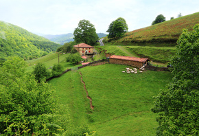 spain, grassland, house, tree, green, lambs