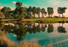 reflextion, lake, water, tree, grass