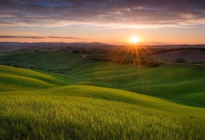 sunrise, sunlight, fields, grass