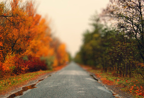 road, heat, tree, colorfull