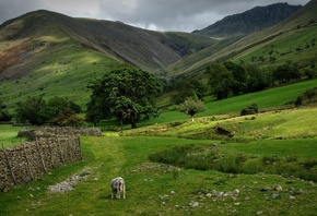 wall, green, grass, mountain