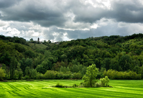 green, hills, tree, grass