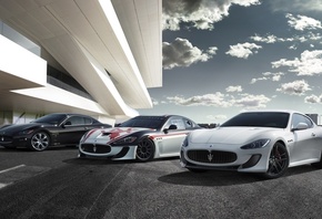 maserati, ����, ���������, ��������