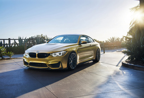 ���, ��������, ������, �������